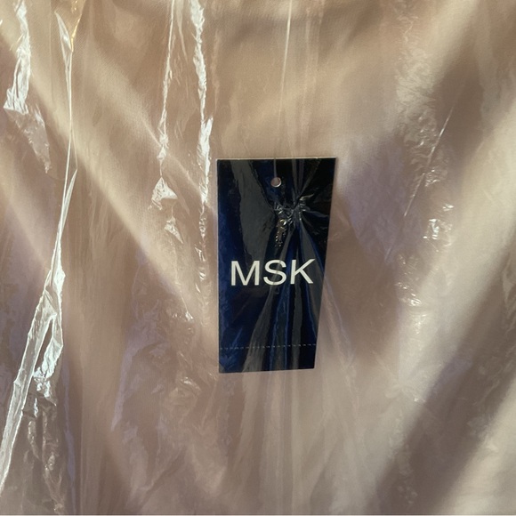 MSK Blush Dress with Beaded Detail NWT - Picture 3 of 12